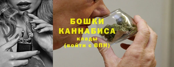 шишки Балахна